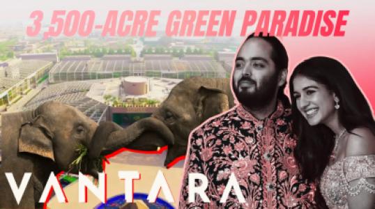 Vantara, Anant Ambani Mega Safe Home for Birds and Wildlife!