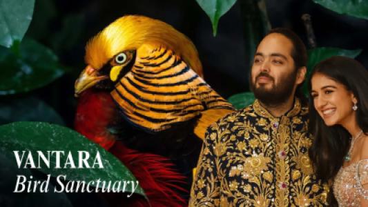 Vantara, Anant Ambani Mega Safe Home for Birds and Wildlife!