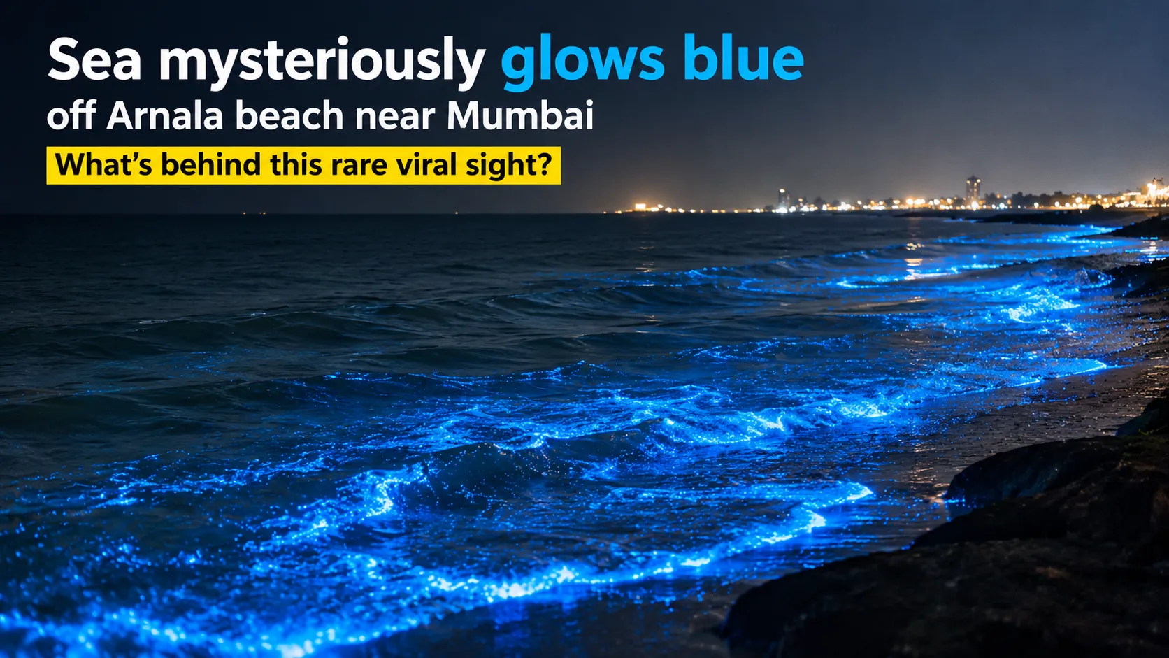 Sea Mysteriously Glows Blue at Night off Arnala Beach Near Mumbai