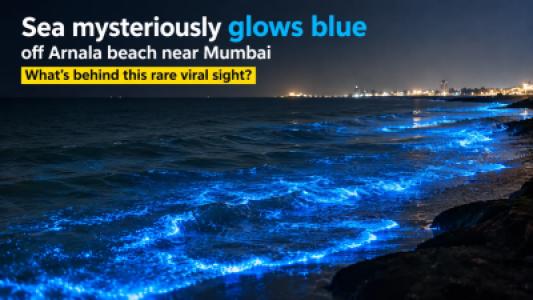 Sea Mysteriously Glows Blue at Night off Arnala Beach Near Mumbai