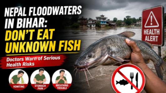 Bihar Warns People Against Eating Unidentified Fish From Nepal Floodwaters